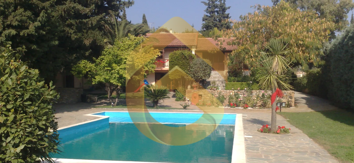 img_fbc3d178-00df-4e72-8596-28830c97fd36
